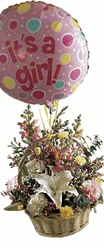 Baby Girl Bouquet w/ OUT balloons