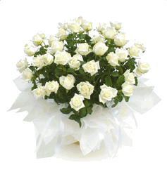 Baria-vung Tau Florist & flower Shop, VN