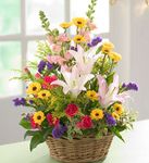 Basket Arrangement 