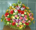 Basket Congratulation