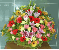 Basket Congratulation