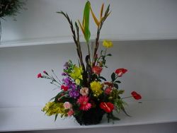 Basket Flowers