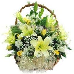 Basket flowers