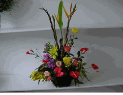 Basket Flowers