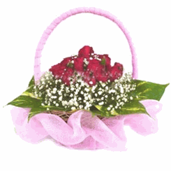 Basket rose