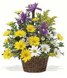 Basket spring