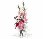 Bear Hug Bear with Pink Roses