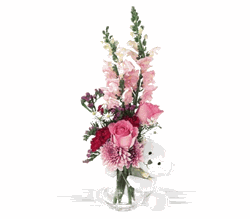 Bear Hug Bear with Pink Roses