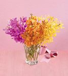 Beautiful Expressions Bouquet