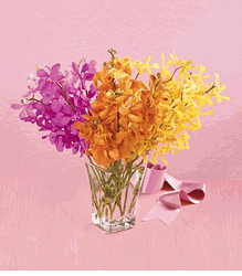 Beautiful Expressions Bouquet