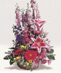 Beloved Bouquet