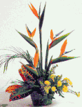 Birds of paradise basket