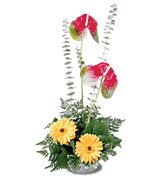 Blazing Beauty Bouquet