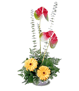 Blazing Beauty Bouquet