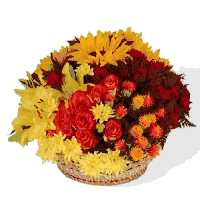 Bountiful Basket Display