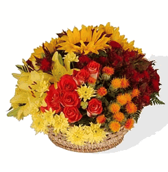 Bountiful Basket Display