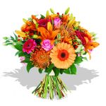 Bright and cheery