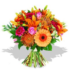 Bright and cheery