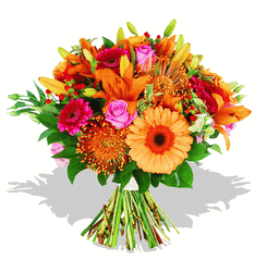 Bright and cheery