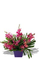 Bright mokara orchids Arrangements