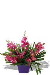 Bright mokara orchids Arrangements