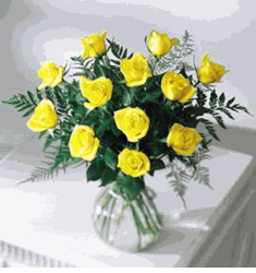 Brighten The Day -One Dozen Yellow Roses