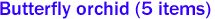 Butterfly orchid (5 items)