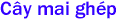 C�y mai gh�p 