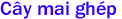 C�y mai gh�p 