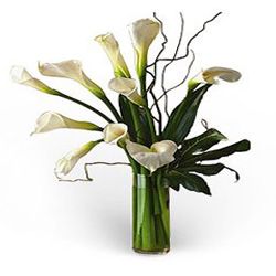 Cala Lily Arrangements