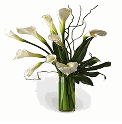 Cala Lily Arrangements