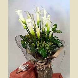Calla Bouquet