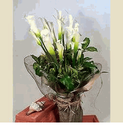 Calla Bouquet