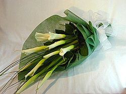 calla lilies 10 stems 
