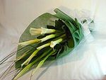 calla lilies 10 stems 