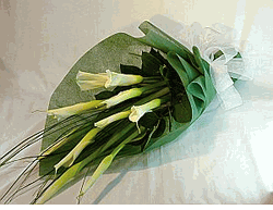 calla lilies 10 stems 