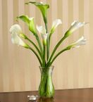 Calla Lilies