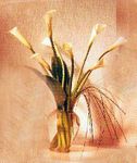 Calla Lilies Bouquet