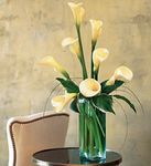 Callas Arrangements