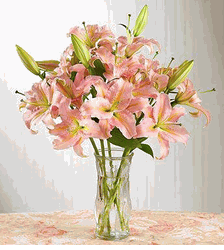 Can tho flower shop