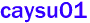caysu01