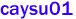 caysu01