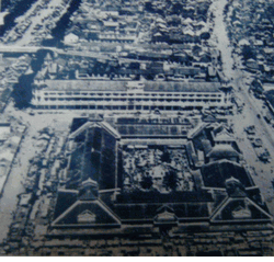 cho lon cu
