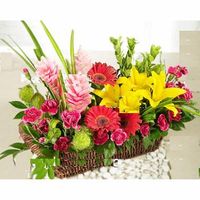 Christmas Gift Flower