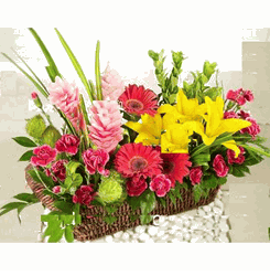 Christmas Gift Flower