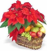 Christmas Gifts basket