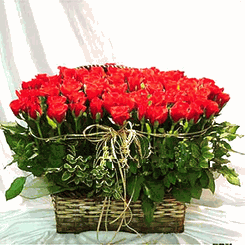 Christmas Red rose basket