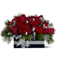 Christmas Red Roses