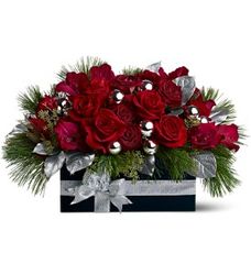 Christmas Red Roses