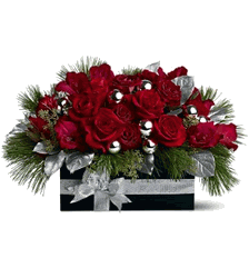 Christmas Red Roses